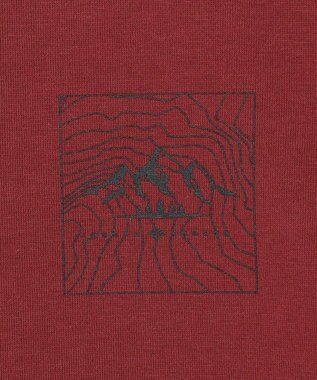 JOSEPH ABBOUD MOUNTAIN 【JAPANファブリック/吸水速乾】プレーティング天竺アウトドア Tシャツ ワイン系