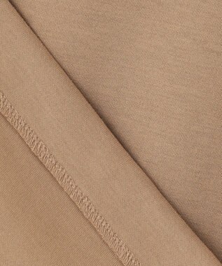 ANY L 【洗濯機可】エンブロイダリーロゴダンボールプルオーバー キャメル