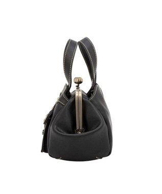 ANNA SUI キャロル 2WAYハンドバッグ クロ