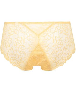 WACOAL サニタリーショーツ 【GOCOCi ゴコチ】 「普通~多い日」に対応 後ろまでしっかりカバー 羽付きナプキン対応 総レース 生理用ショーツ はきこみ丈あさめ レディース PGG198 /ワコール イエロー