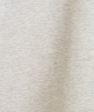 AMERICAN HOLIC ＣＯＹＲＡＧＥフロッキーロングスウェット2 Oatmeal