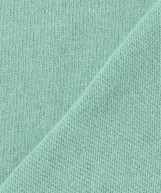 ANY 【手洗い可】イタリーヤーンウールカシミヤミックスプルオーバー ミント