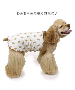 PET PARADISE ペットパラダイス くまちゃん ペティヒート  腹巻 中型犬 くまちゃん