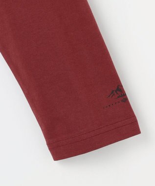 JOSEPH ABBOUD MOUNTAIN 【JAPANファブリック/吸水速乾】プレーティング天竺アウトドア Tシャツ ワイン系