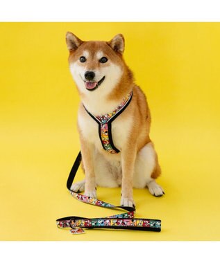 PET PARADISE スヌーピー 75周年 リード 中型犬 大型犬 M～L 75周年柄