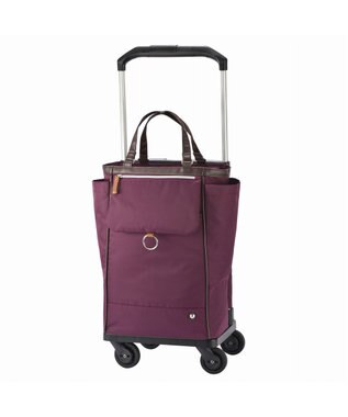 ACE BAGS & LUGGAGE soelte オートュイユ お買い物キャリー 21L 35981 ソエルテ ソフトスーツケース