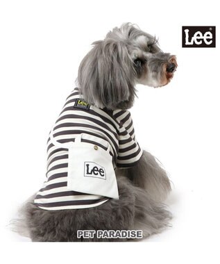  Lee ショルダー ボーダー Ｔシャツ 小型犬