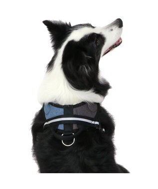 PET PARADISE ヘッドインハーネス  【Ｍ】オレンジ / ブルー 【中型犬 大型犬】 ブルー×ブラウン