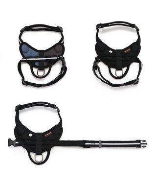 PET PARADISE ヘッドインハーネス  【Ｍ】オレンジ / ブルー 【中型犬 大型犬】 ブルー×ブラウン