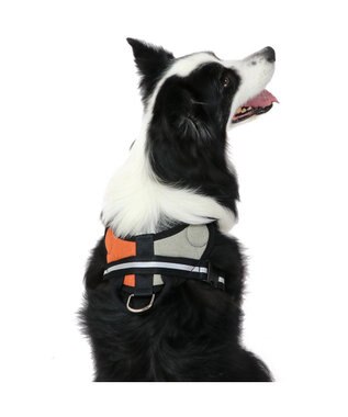 PET PARADISE ヘッドインハーネス  【Ｍ】オレンジ / ブルー 【中型犬 大型犬】 オレンジ×グレー
