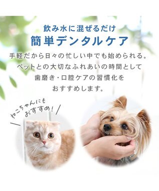PET PARADISE オーガニック デンタルウォーター（犬・猫用） 120ｍＬ -
