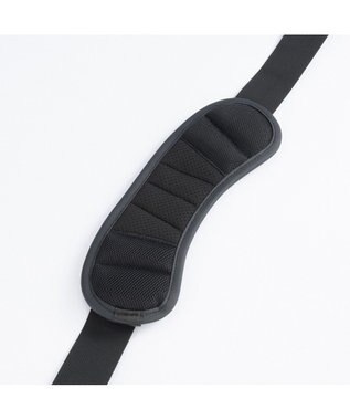 ACE BAGS & LUGGAGE ace. EVL-4.0 10th ビジネスバッグ  B4サイズ 15.6インチPC収納 20/25L エキスパンド 68952 エース ブラック