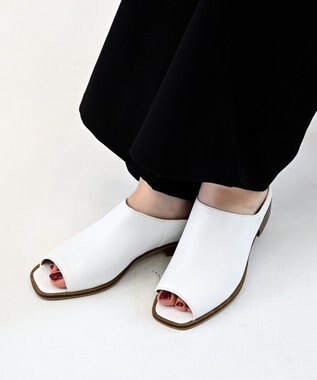 APOM カバーミュール30