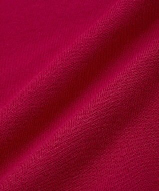 Green Parks ＦＡＮＴＡＳＩＡ／ワンポイントプリントパーカー Red