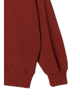 Green Parks ハリーポッター／裏毛ロゴフーディー Red