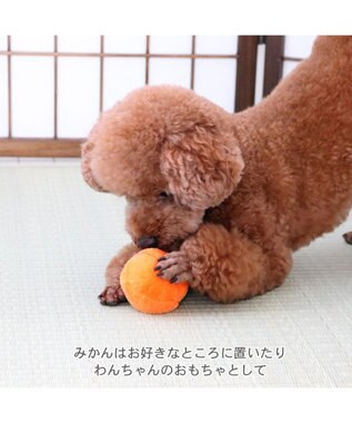 PET PARADISE ペットパラダイス こたつハウス 《お花柄》 50cm レッド