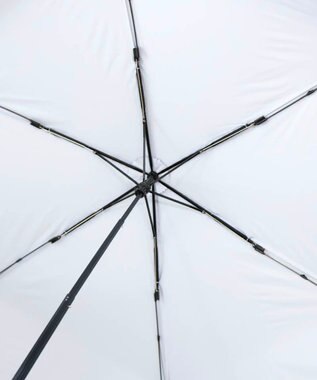 AURORA Blao（ブラオ） 超耐風 オールシーズン傘（折りたたみ・60㎝） サックス