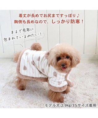 犬 服 着る毛布 【小型犬】 くまちゃん, ベージュ, ３Ｓ