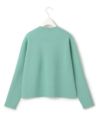 ICB 【洗える】 MIZUHIKI ニットプルオーバー ライトグリーン系