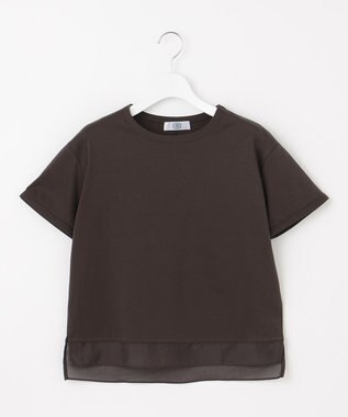 J.PRESS LADIES 【WEB限定カラーあり・洗える】コットンスムース シアーデザイン カットソー 【WEB限定カラー】ダークブラウン系