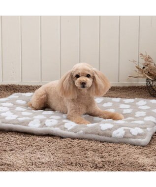 PET PARADISE ペットパラダイス 遠赤外線 ボアマット 《お花柄》角型 小型犬 ベージュ