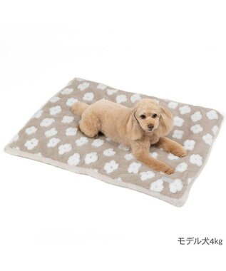 PET PARADISE ペットパラダイス 遠赤外線 ボアマット 《お花柄》角型 小型犬 ベージュ