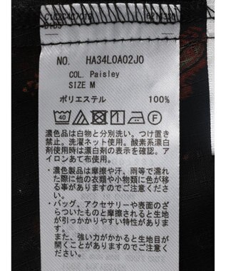 AMERICAN HOLIC ドビーシフォンフリルブラウス Paisley