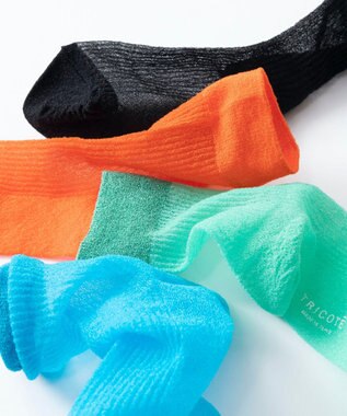TRICOTE COLOUR SHEER RIB SOCKS／カラーシアーリブソックス 41LIME