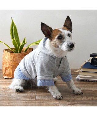 PET PARADISE ペットパラダイス シャツパーカー 小型犬 グレー