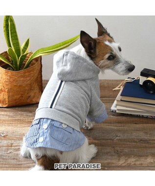 PET PARADISE ペットパラダイス シャツパーカー 小型犬