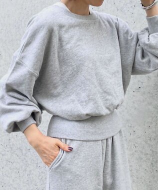 Green Parks バックＺＩＰスウェット Gray