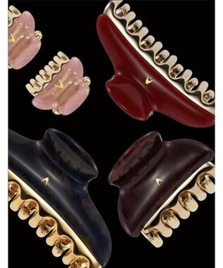 ACCA ルージュ ア レヴル クリップ セット その他