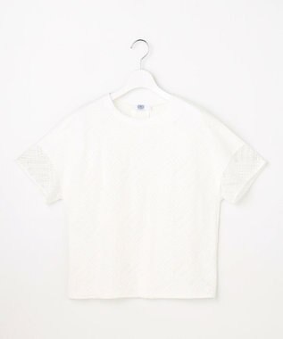J.PRESS LADIES S 【一枚で着映え・シーンレスに活躍】タイルライクレース クルーネック カットソー ホワイト系