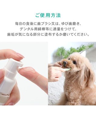 PET PARADISE ペットパラダイス デンタル ブラッシングジェル -