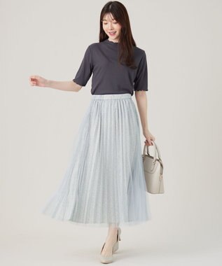 ANY SIS シアー インナー スレート