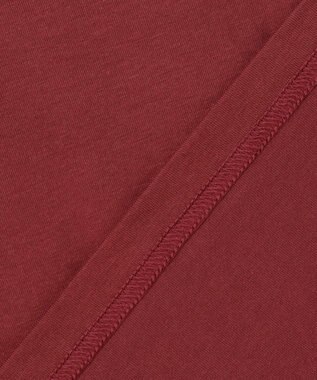 JOSEPH ABBOUD MOUNTAIN 【JAPANファブリック/吸水速乾】プレーティング天竺アウトドア Tシャツ ワイン系