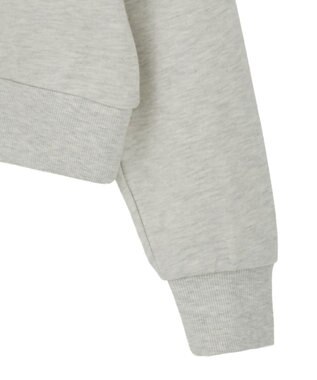 Green Parks １０１匹わんちゃん／プリント裏毛スウェット Oatmeal