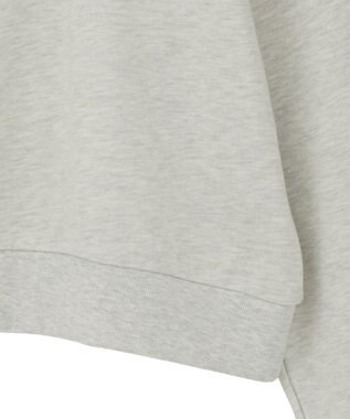 Green Parks １０１匹わんちゃん／プリント裏毛スウェット Oatmeal