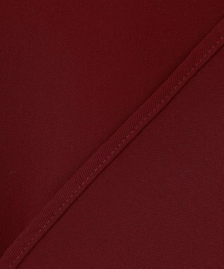 ANY SIS L 【洗える】プリーツスリーブ ブラウス ボルドー