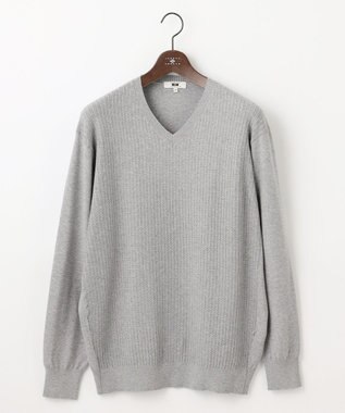 JOSEPH ABBOUD 【キングサイズ・洗える/チクチクしない/3シーズン対応】SNOWY Vネック  ニット ライトグレー系