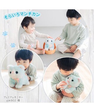 Mother garden  マザーガーデン さわってねこちゃん＆バスケット そらいろマンチカン