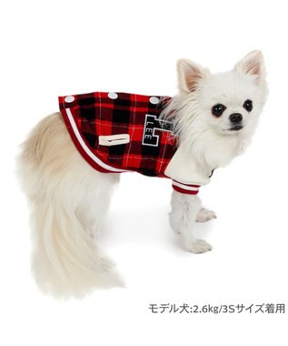 PET PARADISE Ｌｅｅ スタジャン 《チェック》 小型犬 レッド×ブラック