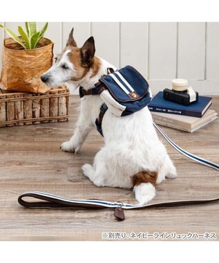 PET PARADISE ペットパラダイス ネイビー ライン入り リード ＳＳ～Ｓ 小型犬 ホワイト×ネイビー
