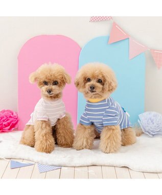 PET PARADISE ディズニー ドナルドダック 手つなぎＴシャツ 接触冷感 中型犬 大型犬 ブルー