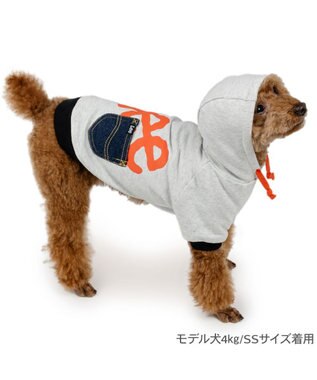 PET PARADISE Lee ビッグ ロゴ パーカー 《グレー》 小型犬  グレー