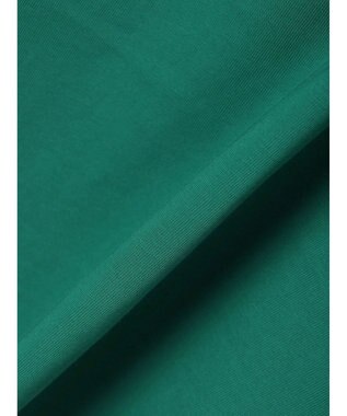 AMERICAN HOLIC ラウンド切り替えカットプルオーバー Green