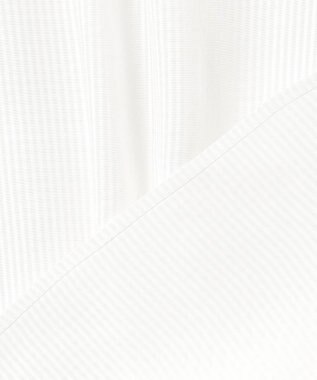 J.PRESS LADIES S 【洗える】アセVisシャドーギンガム シャーリング ブラウス ホワイト系