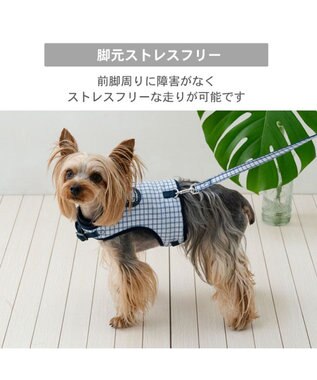 PET PARADISE J.PRESS クールベスト ハーネス 《チェック柄》 Ｓ 小型犬 ホワイト×ブルー