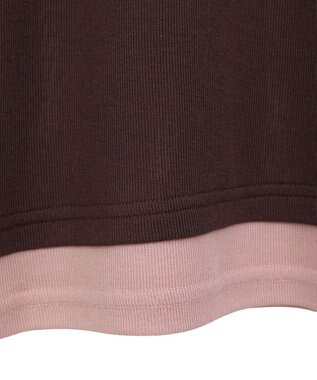 earth music&ecology レイヤードシアープルオーバー Brown