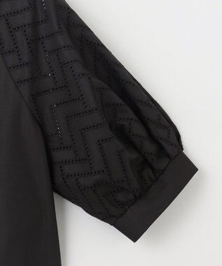 ANY SIS 【洗える】エンブロイダリーラグラン ブラウス ブラック